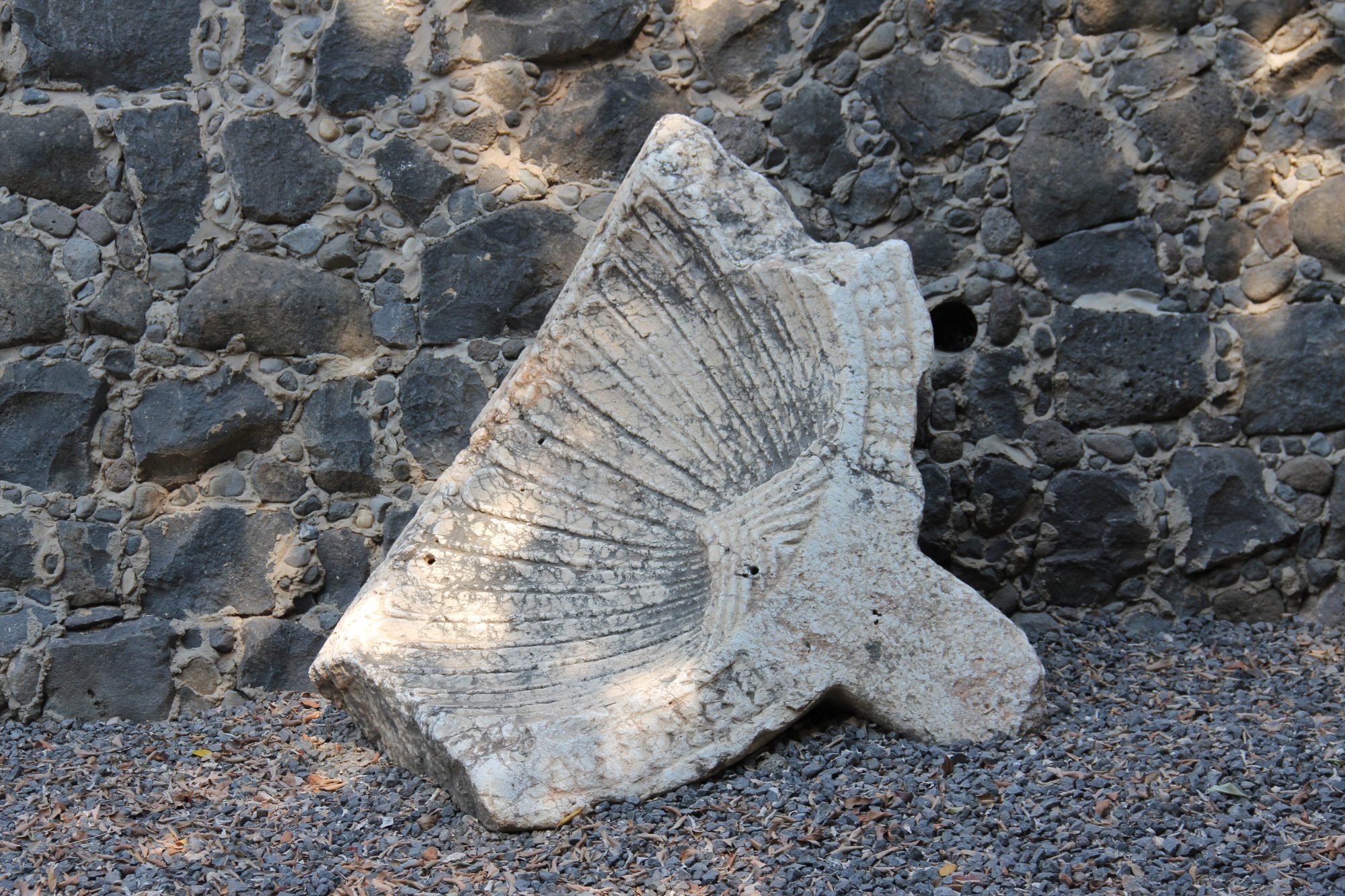 Capharnaum 12